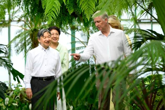 State Visit of the Emperor and the Empress of Japan to Belgium BRUSSELS, BELGIUM - JUNE 25 : Emperor Naruhito of Japan, Empress Masako of Japan, King Philippe - Filip of Belgium and Queen Mathilde of Belgium pictured during a wallk in the Royal Greenhouses of Laeken during the state visit of the Emperor and Empress of Japan to Belgium, on June 25, 2026 in Brussels, Belgium, 25 06 2026 Brussels Belgium  Copyright: xPhilipxReynaersx