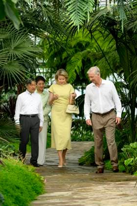State Visit of the Emperor and the Empress of Japan to Belgium BRUSSELS, BELGIUM - JUNE 25 : Emperor Naruhito of Japan, Empress Masako of Japan, King Philippe - Filip of Belgium and Queen Mathilde of Belgium pictured during a wallk in the Royal Greenhouses of Laeken during the state visit of the Emperor and Empress of Japan to Belgium, on June 25, 2026 in Brussels, Belgium, 25 06 2026 Brussels Belgium  Copyright: xPhilipxReynaersx
