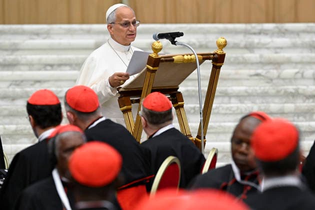 ITALY - POPE LEO XIV DURING THE FIRST MORNING SESSION ON THE EXTRAORDINARY CONSISTORY IN THE PAUL VI HALL AT THE VATICAN- 2026 6 26 Italy, Rome, Vatican, 2026 6 26 Pope Leo XIV during the first morning session on the occasion of the Extraordinary Consistory in the Paul VI Hall at the Vatican EDITORIAL USE ONLY - NO BOOKS Copyright: xVATICANxMEDIAx