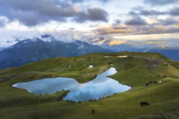 Malerische Höhenlage, Spiegelwasser, alpine Koruldi Seen, hügelige grüne Wiesen, Weiden, Vieh, weiden, majestätische Kaukasus Gebirgskette, Wolken, Hintergrund, Mestia, Svaneti, Georgien Scenic high altitude mirror water alpine Koruldi Lakes rolling green meadow pastures livestock grazing majestic Caucasus mountain range clouds background Mestia Svaneti Georgia Copyright: imageBROKER EvaldasxMikoliunas ibxemi18169611.jpg