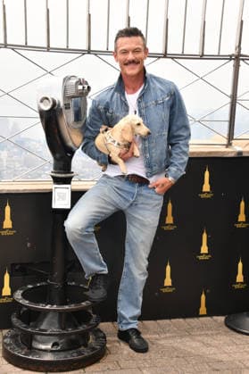 NEW YORK, NY - JUNE 26: Luke Evans Lights the Empire State Building in Partnership with the Stonewall Inn Gives Back Initiative and the Trevor Project to Celebrate New York City Pride 2026 on June 26, 2026 in New York City. Copyright: xmpi099 MediaPunchx