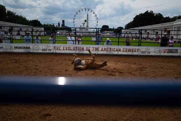 June 26, 2026, Washington, District Of Columbia, USA: A foal rolls on the ground before a rodeo during the Great American State Fair on the National Mall in Washington, D.C. on June 26, 2026. Rodeo 250, produced by Cervi Rodeo Company, is one of numerous events during the 16-day fair, celebrating the 250th anniversary of the United States of America. Washington USA - ZUMAd227 20260626_znp_d227_006 Copyright: xBryanxDozierx
