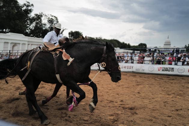 June 26, 2026, Washington, District Of Columbia, USA: A cowboy wrangles a running horse at a rodeo during the Great American State Fair on the National Mall in Washington, D.C. on June 26, 2026. Rodeo 250, produced by Cervi Rodeo Company, is one of numerous events during the 16-day fair, celebrating the 250th anniversary of the United States of America. Washington USA - ZUMAd227 20260626_znp_d227_038 Copyright: xBryanxDozierx