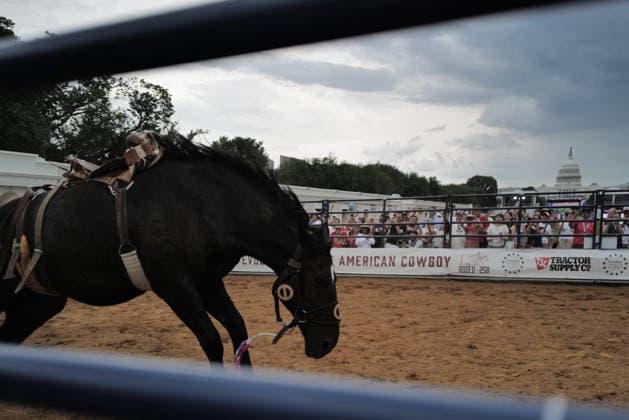 June 26, 2026, Washington, District Of Columbia, USA: A horse runs at a rodeo during the Great American State Fair on the National Mall in Washington, D.C. on June 26, 2026. Rodeo 250, produced by Cervi Rodeo Company, is one of numerous events during the 16-day fair, celebrating the 250th anniversary of the United States of America. Washington USA - ZUMAd227 20260626_znp_d227_036 Copyright: xBryanxDozierx