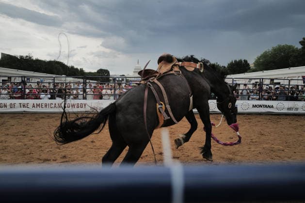 June 26, 2026, Washington, District Of Columbia, USA: A horse leaps at a rodeo during the Great American State Fair on the National Mall in Washington, D.C. on June 26, 2026. Rodeo 250, produced by Cervi Rodeo Company, is one of numerous events during the 16-day fair, celebrating the 250th anniversary of the United States of America. Washington USA - ZUMAd227 20260626_znp_d227_037 Copyright: xBryanxDozierx