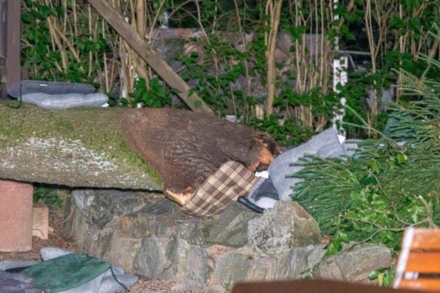 260627BaumBiergarten News ID: EN 2026-06-27 Dicker und mehrerer Meter langer Ast stürzte in besetzten Biergarten Über 12 Verletzte und Großeinsatz der Rettungskräfte Steinberg Vogtland. Für die Gäste in einer Gaststätte auf der Steinbergstraße im Steinberger Ortsteil Wildenau sollte es ein entspannter Abend im Biergarten werden. Dieser endete allerdings in deinem Unglück. Aus noch ungeklärter Ursache brach gegen 20:40 Uhr ein dicker, mehrerer Meter langer Ast von einem Baum ab und stürzte auf mehrere, mit Personen besetzte Tischgruppen. Mehrere Personen wurden durch den tonnenschweren Ast getroffen und laut Polizei unter dem Ast eingeklemmt. Umgehend rückte ein Großaufgebot an Rettungskräften zu der Gaststätte aus. Vor Ort