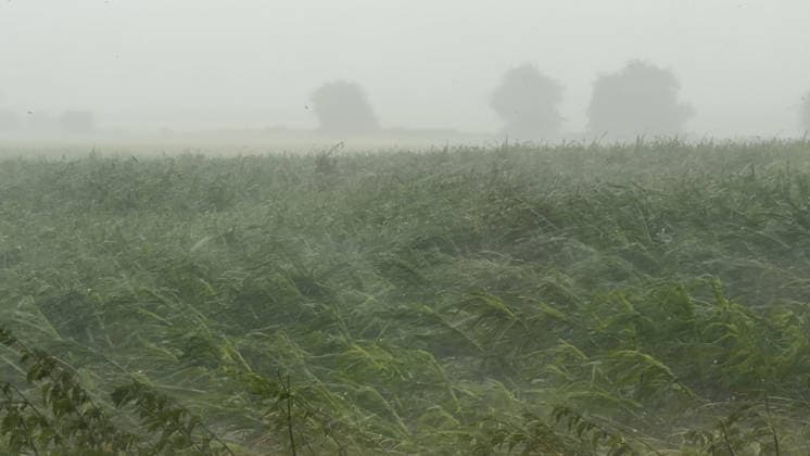 Neben der extremen Hitze rückt seit den Samstagmittagstunden die Unwettergefahr immer mehr in den Vordergrund. Gegen 13 Uhr entwickelten sich im Sauerland heftige Unwetter. Vor allem die Gegend um Mars war betroffen. Schwerer Sturm und Hagel, zusammen mit heftigen Starkregen gingen vor allem in Giershagen nieder. Der Hagel sammelte sich auf den Wiesen. Äste lagen auf den Straßen. Starkregen peitschte durch den Ort. Straßen in der Umgebung wurden überflutet. Es ist nur ein kleiner Vorgeschmack auf heftige Gewitter ab den Abendstunden in Westdeutschland. Die Temperatur stürzte in dieser Region von knapp 40 ¡C auf angenehme 17 ¡C. Giershagen Nordrhein-Westfalen Deutschland *** In addition to the extreme heat, the risk of severe weather has be