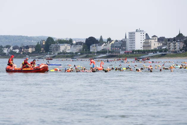 Rheinschwimmen des DLRG Bad Honnef Unkel 413 Schwimmerinnen und Schwimmer absolvieren am bislang heissesten Tag des Jahres beim Rheinschwimmen der DLRG Bad Honnef-Unkel den 11 Kilometer langen Kurs im Rhein von Linz nach Bad Honnef. Die Spassveranstaltung wird von der DLRG, Feuerwehr und THW abgesichert.Alle von jung bis alt sind wohlerhalten am Ziel angekommen und hatten trotz den Temperaturen jede Menge Spaß Remagen Rheinland-Pfalz Deutschland *** DLRG Bad Honnef Unkel Rhine Swim: On what has been the hottest day of the year so far, 413 swimmers completed the 11-kilometer course in the Rhine from Linz to Bad Honnef during the DLRG Bad Honnef Unkel Rhine Swim. The fun event was supervised by the DLRG, the fire department, and the THW. Ev Copyright: xMarcxJohnx