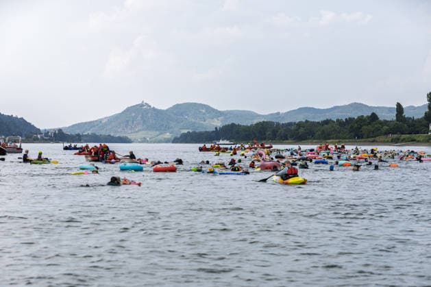 Rheinschwimmen des DLRG Bad Honnef Unkel 413 Schwimmerinnen und Schwimmer absolvieren am bislang heissesten Tag des Jahres beim Rheinschwimmen der DLRG Bad Honnef-Unkel den 11 Kilometer langen Kurs im Rhein von Linz nach Bad Honnef. Die Spassveranstaltung wird von der DLRG, Feuerwehr und THW abgesichert.Alle von jung bis alt sind wohlerhalten am Ziel angekommen und hatten trotz den Temperaturen jede Menge Spaß Unkel Rheinland-Pfalz Deutschland *** DLRG Bad Honnef Unkel Rhine Swim: On what has been the hottest day of the year so far, 413 swimmers completed the 11-kilometer course in the Rhine from Linz to Bad Honnef during the DLRG Bad Honnef Unkel Rhine Swim. The fun-filled event was supervised by the DLRG, the fire department, and the TH Copyright: xMarcxJohnx