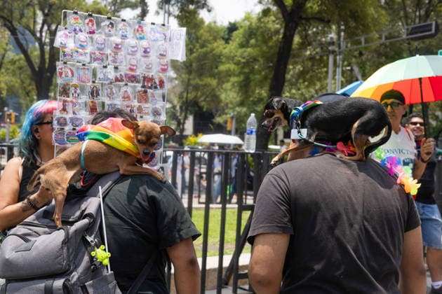 June 27, 2026, Mexico City, Mexico: Thousands of people took part in the 48th LGBTIQ+ Pride March in Mexico City, which marched from Paseo de la Reforma to the Zocalo under the slogan In the eyes of the world, my struggle is your struggle. Equality, peace and solidarity. Mexico City Mexico - ZUMAl178 20260627_znp_l178_041 Copyright: xCristianxLeyvax