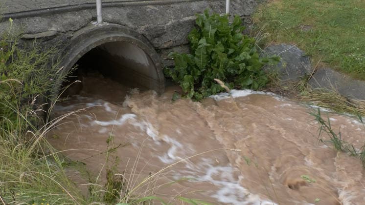 Der Deutsche Wetterdienst hat schwere Gewitter und Unwetter angekündigt und sie traten auch auf. Besonders heftig traf es am Sonntagnachmittag den Erzgebirgskreis. Mehrere Gewitter zogen über die Ortschaft Elterlein und Schwarzbach. Orkanböen von bis zu 140 km h verursachten immense Schäden im Ort. Unzählige Bäume stürzten um. Der Ort zwar zwischenzeitlich nur von einer Straße aus erreichbar. Die Einsatzleitung löste frühzeitig eine Sonderlage aus. Eine örtliche Einsatzleitung wurde gebildet. Überörtliche Kräfte aus Scheibenberg, Oberscheibe, Hermansdorf und Crottendorf kamen zum Einsatz. Es wurde eine NINA-Warnung auf Grund eines Stromausfalls herausgegeben. Die Einsatzleitung rechnet damit, dass der Strom mehrere Tage weg sein wird. An me