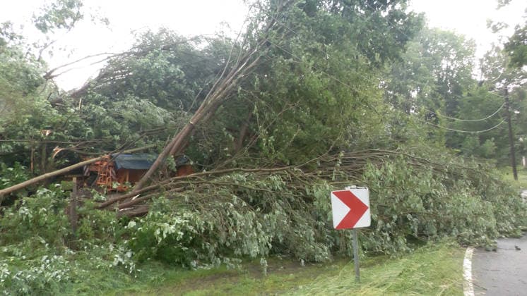 Der Deutsche Wetterdienst hat schwere Gewitter und Unwetter angekündigt und sie traten auch auf. Besonders heftig traf es am Sonntagnachmittag den Erzgebirgskreis. Mehrere Gewitter zogen über die Ortschaft Elterlein und Schwarzbach. Orkanböen von bis zu 140 km h verursachten immense Schäden im Ort. Unzählige Bäume stürzten um. Der Ort zwar zwischenzeitlich nur von einer Straße aus erreichbar. Die Einsatzleitung löste frühzeitig eine Sonderlage aus. Eine örtliche Einsatzleitung wurde gebildet. Überörtliche Kräfte aus Scheibenberg, Oberscheibe, Hermansdorf und Crottendorf kamen zum Einsatz. Es wurde eine NINA-Warnung auf Grund eines Stromausfalls herausgegeben. Die Einsatzleitung rechnet damit, dass der Strom mehrere Tage weg sein wird. An me