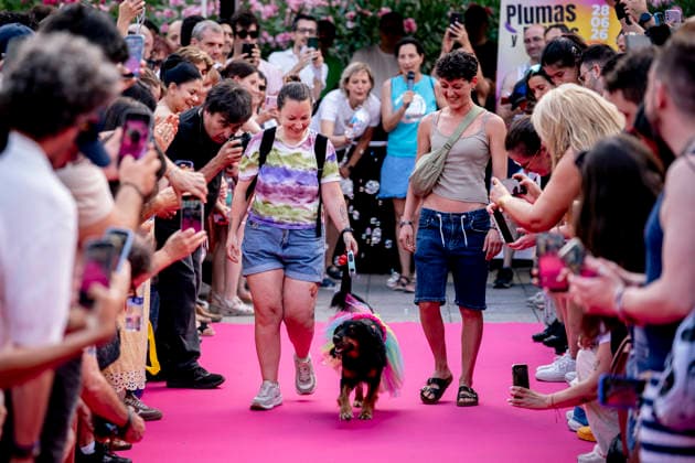 Celebration of the Plumas y Patitas 2026 event at Plaza Pedro Zerolo in Madrid Celebration of the Plumas y Patitas 2026 event at Plaza Pedro Zerolo on June 28, 2026, in Madrid, Spain. This event, part of the official activities of Madrid’s LGBTIQ Pride, brings together hundreds of attendees and their pets to raise awareness about animal abandonment, promote responsible adoption, and highlight family diversity and respect for animal rights. JUNE 28, 2026 A Pé Madrid Madrid, Spain  Copyright: xA.xPÃ rezxMecax 7629029