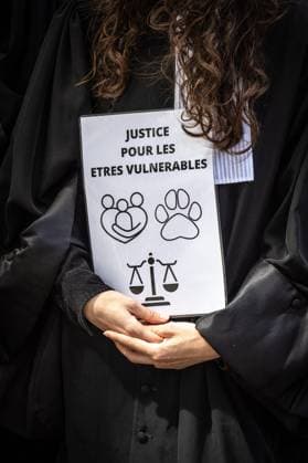 LILLE PROTEST JUSTICE JUDICIAL COURT PHOTOPQR VOIX DU NORD PASCAL BONNIERE 06 29 2026 LILLE 06 29 2026 Protest by lawyers and judges from the Lille Bar Association in front of the judicial court to demand more resources following the Lyhanna case, which revealed shortcomings. Photo by Pascal Bonniere, La Voix du Nord, Lille, France, June 29, 2026 Following the Lyhanna case, which highlighted the impunity enjoyed by child sex offenders in France, magistrates are demonstrating to demand more resources—even though their minister had stated that a lack of resources was not the problem HAUTS-DE-FRANCE France  Copyright: xPHOTOPQR VOIXxDUxNORD MAXPPPxPASCALxBONNIEREx 20260629VDN5126 20260629VDN5126