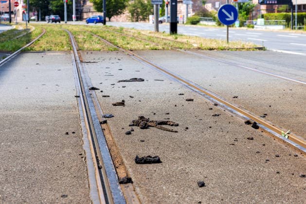 Nürnberger Straßenbahnbetrieb wegen Hitzeschäden vorübergehend eingestellt, Nürnberg, 29.06.2026 Geschmolzenes und wieder erstarrtes Bitumen liegt auf den Straßenbahngleisen am Marientor. Extreme Hitze hatte das Bitumen zum Schmelzen gebracht und den Betrieb lahmgelegt. Schienen und Straßenbahnräder müssen aufwendig gereinigt werden. Nürnberg Bayern Deutschland *** Nuremberg tram service temporarily suspended due to heat damage, Nuremberg, June 29, 2026 Melted and re-solidified bitumen lies on the tram tracks at Marientor. Extreme heat had caused the bitumen to melt, bringing service to a standstill. The tracks and tram wheels must undergo a thorough cleaning. Nuremberg, Bavaria, Germany 20260629-286A0547-M4000