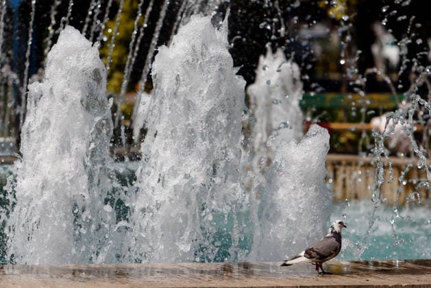 (260629) -- BUCHAREST, June 29, 2026 -- A pigeon cools off at a public fountain in Bucharest, Romania, June 29, 2026. Romania s National Meteorological Administration has issued the first Code Red warning of the summer as a severe heatwave blankets much of the country with temperatures expected to soar to 38-41 degrees Celsius. (Photo by Cristian Cristel Xinhua) ROMANIA-BUCHAREST-HEATWAVE LinxHao 