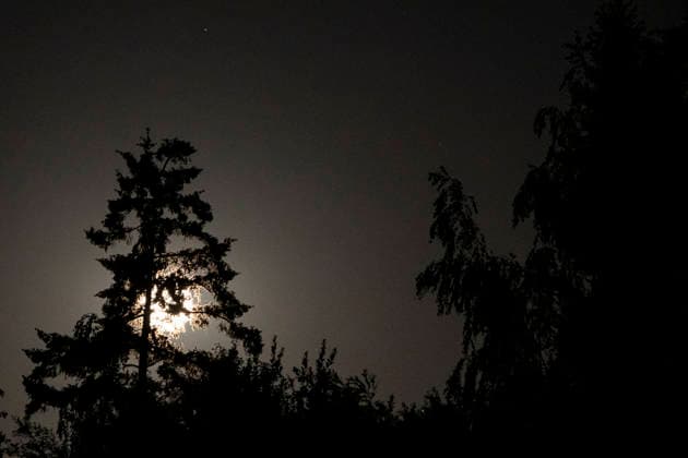 Strawberry Full Moon Rises Over The Netherlands The bright Strawberry full moon behind trees, plants and flowers, the first full moon of summer, rises in the Netherlands while June s full moon will be the lowest-hanging full moon of the year. Close-up of the full moon, nicknamed as Strawberry moon seen rising over the Dutch city of Eindhoven, between buildings and street lights. The moon is earth s natural satellite, illuminating the night sky. The Moon is an astronomical body orbiting Earth and is the planet s only natural satellite known as Selene or Luna. Eindhoven, Netherlands on June 30, 2026 Eindhoven Netherlands  Copyright: xNicolasxEconomoux originalFilename: oikonomou-notitle260630_np7VW.jpg