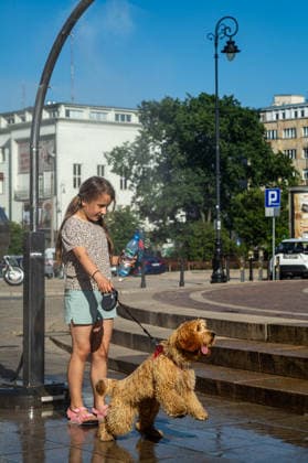 June 27, 2026, Warsaw, Mazovia, Poland: A young girl and her dog enjoy the relief of a cooling misting station. On the afternoon of the 28th of June, Varsovians cool and hydrate themselves around the city during a record-breaking heatwave. Due to the extreme heat, the authorities provided misting sprays and water tanks around the city. During the weekend, Warsaw experienced temperatures approaching 38Â°C as the unprecedented European heatwave swept across Poland, roughly 15Â°C above the late-June average. Tropical nights, nationwide heat alerts, and temperatures up to 40.5Â°C elsewhere in the country made this one of the most extreme heat events in modern Polish history. Warsaw Poland - ZUMAs197 20260627_aaa_s197_347 Copyright: xNeilxMiltonx