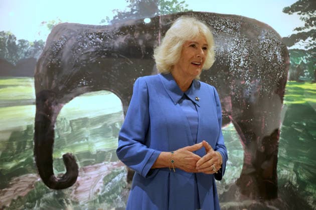 King visits Scotland for Holyrood Week Queen Camilla during her visit to see the exhibition of Chaos and Control, Printmaking in Scotland Now, as part of the bicentenary celebrations for the Royal Scottish Academy of Art and Architecture (RSA) in Edinburgh. Picture date: Tuesday June 30, 2026., Credit:Steve Welsh PA ROTA - B68 Avalon UK, Edinburgh  Copyright: xStevexWelshx xPAxROTAx-xB68x xAvalonx 1113543793