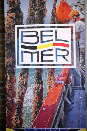 Bel Mer Mussels Presentation NIEUWPOORT, BELGIUM - JULY 01: illustration picture during the press presentation of the Bel Mer mussels from Colruyt s marine farm on July 01, 2026 in Nieuwpoort, Belgium, 01 07 2026 Nieuwpoort Belgium  Copyright: xPhilipxReynaersx