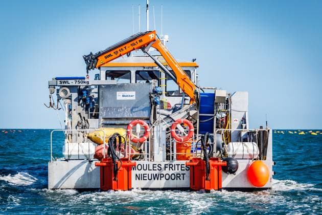 The Bel Mer mussels of the commercial sea farm from Colruyt Group in Nieuwpoort are presented to the press on Wednesday 01 July 2026. Colruyt Group is developing the first commercial sea farm off the Belgian coast: Sea Farm Westdiep. The company has started farming Belgian mussels in 2022.  KURTxDESPLENTER 180079824