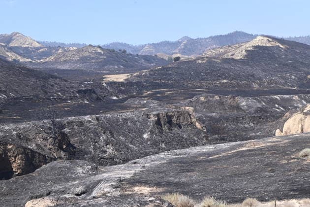 The Government of Aragon Deploys the UME in Response to the Forest Fire in Lecinena Area burned by the fire, as of July 1, 2026, in Lecinena, Zaragoza, Aragon, Spain. The Government of Aragon has requested the deployment of the Military Emergency Unit (UME) to tackle the fire in Lecinena. The military operation is joining the firefighting efforts to combat the severe forest fire that broke out in the municipality, working alongside forest fire brigades and regional aerial resources to control the fire and protect residential and agricultural areas in the Los Monegros region. JULY 1, 2026 FIRE Ramó Lecinena, Zaragoza, Aragon Lecinena, Zaragoza, Aragon Spain  Copyright: xRamonxCometx 7635647