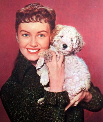 RECORD DATE NOT STATED Photograph of Janette Scott Photograph of Janette Scott (1938-) an English actress. Editorial use only. All other uses to be cleared with the copyright owner (World History Archive), in advance., WHA_151_0664.jpg, Janette Scott; English actress; vintage actress; 1930s actress; British film star; classic cinema; Hollywood starlet; celebrity portrait; black and white photography; retro glamour; iconic beauty; film industry; famous actress; vintage beauty; British actress; classic film star; old Hollywood; cinematic legend; screen siren; actress headshot; vintage style; classic actress; English film star; 20th century actress; film icon; British cinema; vintage portrait; classic beauty; actress profile; Hollywood legend. Copyright: xWorldxHistoryxArchivex