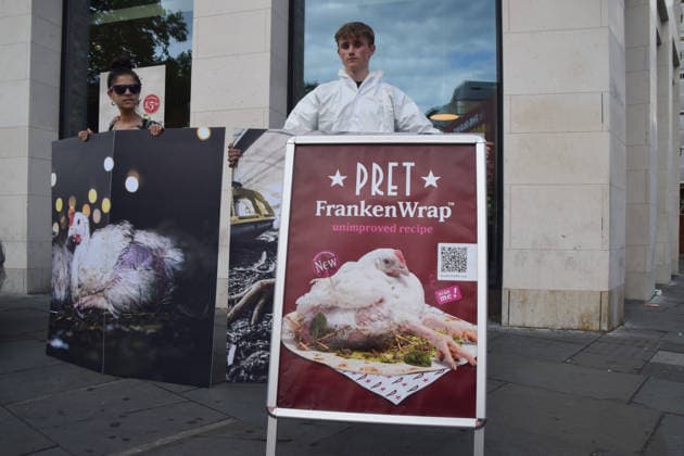 July 1, 2026, Ascot, England, United Kingdom: Activists stand with photos of chickens outside Pret in Waterloo during a protest urging the public to skip the fast food chain until they stop selling meat from Frankenchickens. Frankenchickens are chickens bred to grow artificially fast, and campaigners say they suffer far more than regular chickens. Ascot United Kingdom  - ZUMAv130 20260701_zip_v130_031 Copyright: xVukxValcicx