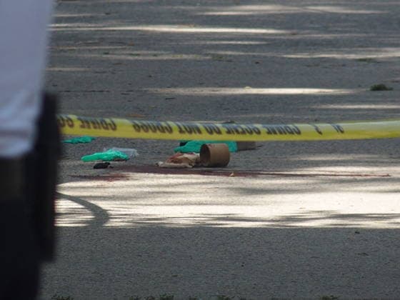 July 2, 2026, Brooklyn, New York, USA: New York, New York July 2, 2026..New York City Police officers and Detectives.investigate a shooting of a person in the Sheepshead Bay Neighborhood of Brooklyn Brooklyn USA  - ZUMAct2_ 20260702_faf_ct2_004 Copyright: xBrucexCotlerx