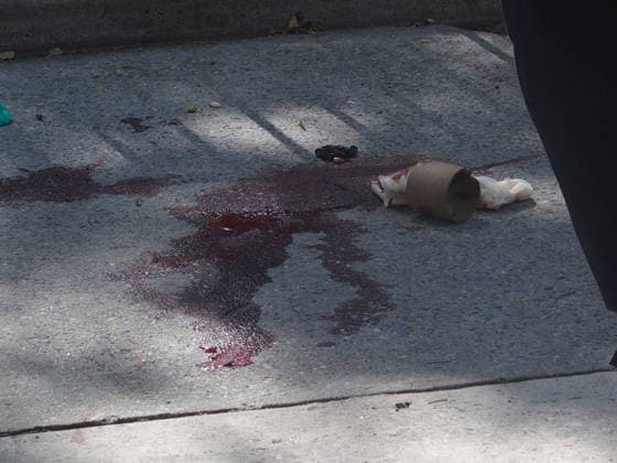 July 2, 2026, Brooklyn, New York, USA: New York, New York July 2, 2026..New York City Police officers and Detectives.investigate a shooting of a person in the Sheepshead Bay Neighborhood of Brooklyn Brooklyn USA - ZUMAct2_ 20260702_faf_ct2_012 Copyright: xBrucexCotlerx