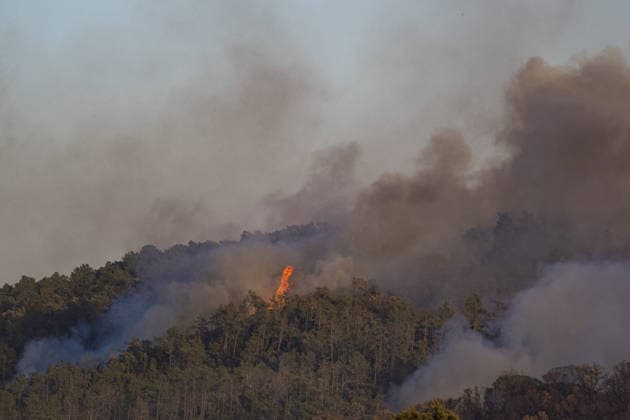 Spain battles major Costa Brava wildfire after 1,800 hectares burn LA BISBAL D’EMPORDA, SPAIN - JULY 03: Smoke billows into the sky as a wildfire tears through the ecologically sensitive Les Gavarres mountain range in the Baix Emporda district of Catalonia, Spain, on July 3, 2026. A wildfire that broke out on Friday in the Baix Emporda district on Spain s Costa Brava has forced tens of thousands of people to remain indoors and has burned around 1,800 hectares, according to preliminary figures from regional authorities, as firefighters continue efforts to bring the blaze under control. Fanned by strong tramontana winds, the fire is affecting mainly the Les Gavarres mountain range, an area of high ecological value. Catalonia s regional govern  Copyright: x2026xAnadoluxLorenaxSopenaxLopezx