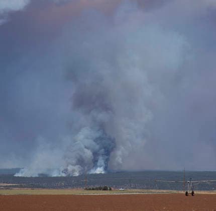 July 3, 2026, Dove Creek, Colorado, United States: July 3, 2026. The Ferris Fire which had burned more than 30,000 acres and was only 10% contained on Friday sends smoke billowing into the sky just East of Dove Creek in the Dolores River Canyon in Southwestern Colorado. The fire is a combination of the Ferris, Doe Canyon and Far Draw fires which were reported to be started by lightning strikes. Dove Creek United States  - ZUMAl92_ 20260703_zaf_l92_002 Copyright: xRalphxLauerx