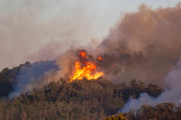 The spread of the fire in La Bisbal d’Empordà, Girona, forces the evacuation of 12 towns. View of the fire in La Bisbal d’Empordà, in Cruïlles Sant Sadurní de l’Heura, Girona, Catalonia, Spain. Civil Protection has issued a precautionary alert due to the fire’s progression, as well as the presence of smoke, and to prevent movement in the area near the operations site. JULY 3, 2026 Lorena Sopê Cruïlles Sant Sadurni de l’Heura Cruïlles Sant Sadurni de l’Heura, Spain  Copyright: xLorenaxSopÃªnax 7643095