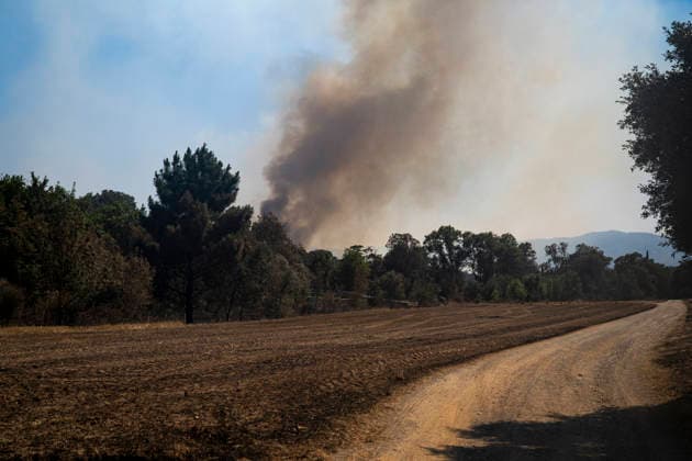 The Fire Department Stabilizes 70% of the Right Flank of the Fire in La Bisbal d Empordà, Girona. View of the fire in La Bisbal d Empordà on July 4, 2026, in Cruïlles, Sant Sadurní de l Heura, Girona, Catalonia, Spain The Generalitat’s Bombers managed to stabilize 70% of the right flank of the fire that broke out on Friday in La Bisbal d’Empordà early Saturday morning, July 4, 2026. HELICOPTER Lorena Sopê Cruïlles Sant Sadurni de l’Heura, Cruïlles Sant Sadurni de l’Heura, Spain  Copyright: xLorenaxSopÃªnax 7644299