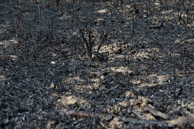 Fire In France A forest and field fire burns several hectares in the commune of Jardin, Isere, on July 4, 2026. Jardin Isere France  Copyright: xRomainxDoucelinx originalFilename: doucelin-fireinfr260704_npXIf.jpg