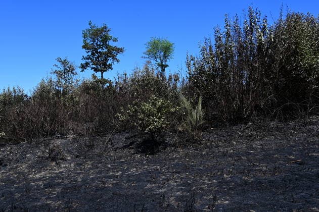 Fire In France A forest and field fire burns several hectares in the commune of Jardin, Isere, on July 4, 2026. Jardin Isere France  Copyright: xRomainxDoucelinx originalFilename: doucelin-fireinfr260704_npNnX.jpg