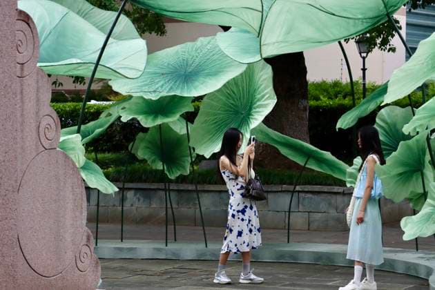 HANGZHOU, CHINA - JULY 04: Tourists take photos of giant lotus leaf art installations during a lotus market at the Confucius Temple on July 4, 2026 in Hangzhou, Zhejiang Province of China.  Copyright: xChinaxNewsxServicex 111652187673