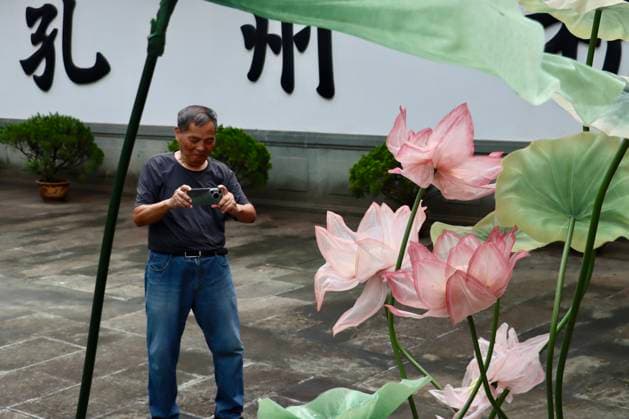 HANGZHOU, CHINA - JULY 04: A visitor takes photos of lotus art installations during a lotus market at the Confucius Temple on July 4, 2026 in Hangzhou, Zhejiang Province of China.  Copyright: xChinaxNewsxServicex 111652187557