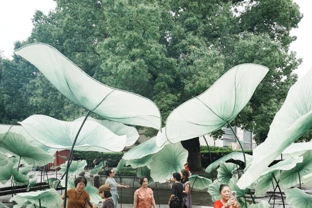 Lotus Leaf Art Installation Citizens enjoy the cool breeze under an art installation composed of giant lotus leaves in Hangzhou, Zhejiang Province, China on July 5, 2026. Hangzhou Zhejiang China  Copyright: xLWx i1783267418962