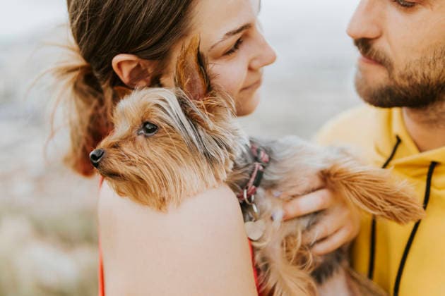 Girlfriend embracing dog while looking at boyfriend model released, Symbolfoto property released, MIMFF00713