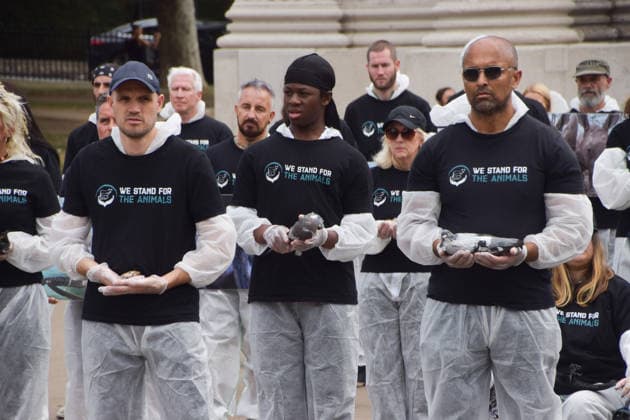 July 5, 2026, London, England, United Kingdom: Animal rights activists hold dead animals next to the Wellington Arch at Hyde Park Corner during a vigil by the group We Stand For The Animals for the billions of animals exploited, abused and killed by humans for food, clothing, entertainment and other areas of human activity. The activists held pictures of various species as well as bodies of real animals, who died of natural causes, in remembrance of animals worldwide and in protest against speciesism. London United Kingdom  - ZUMAv130 20260705_zip_v130_010 Copyright: xVukxValcicx