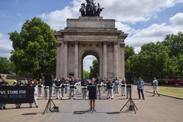 July 5, 2026, London, England, United Kingdom: Animal rights activists stand next to the Wellington Arch at Hyde Park Corner during a vigil by the group We Stand For The Animals for the billions of animals exploited, abused and killed by humans for food, clothing, entertainment and other areas of human activity. The activists held pictures of various species as well as bodies of real animals, who died of natural causes, in remembrance of animals worldwide and in protest against speciesism. London United Kingdom  - ZUMAv130 20260705_zip_v130_015 Copyright: xVukxValcicx
