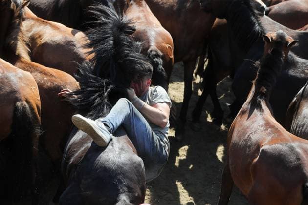 La Rapa das Bestas Celebration 2026 A Rapa das Bestas Celebration, on July 5, 2026, in Sabucedo, Pontevedra, Galicia, Spain. A Rapa das Bestas is an ancient Galician festival that involves capturing wild horses in the mountains, driving them into a fenced enclosure, and cutting their manes to deworm and care for them. It is a ritual of strength and tradition that symbolizes the coexistence of humans and nature, celebrated primarily in Sabucedo. JULY 5, 2026 Sabucedo, Pontevedra, Galicia, Sabucedo, Pontevedra, Galicia, Spain  Copyright: xCarlosxCastrox 7646486