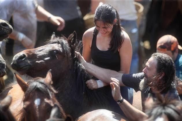 La Rapa das Bestas Celebration 2026 A Rapa das Bestas Celebration, on July 5, 2026, in Sabucedo, Pontevedra, Galicia, Spain. A Rapa das Bestas is an ancient Galician festival that involves capturing wild horses in the mountains, driving them into a fenced enclosure, and cutting their manes to deworm and care for them. It is a ritual of strength and tradition that symbolizes the coexistence of humans and nature, celebrated primarily in Sabucedo. JULY 5, 2026 Sabucedo, Pontevedra, Galicia, Sabucedo, Pontevedra, Galicia, Spain  Copyright: xCarlosxCastrox 7646534