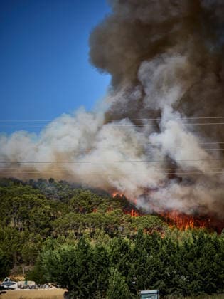 A large wildfire has been reported in Imárcoain, Navarre. View of the wildfire in Imárcoain on July 5, 2026, in Imárcoain, Elorz Valley, Navarre, Spain. Firefighters are currently working to extinguish a fire in a grain field that has spread to a wooded area in Imárcoain, which belongs to the Elorz Valley municipality. Emergency services received the alert at 4:49 p.m., and a response team consisting of firefighters, aircraft, environmental forest rangers, Local Police, and Regional Police. As a result, the AP 15 has been closed in both directions as a precaution. JULY 5, 2026 Imarcoain, Elorz Valley, Navarre Imarcoain, Elorz Valley, Navarre, Spain  Copyright: xEduardoxSanzx 7647212