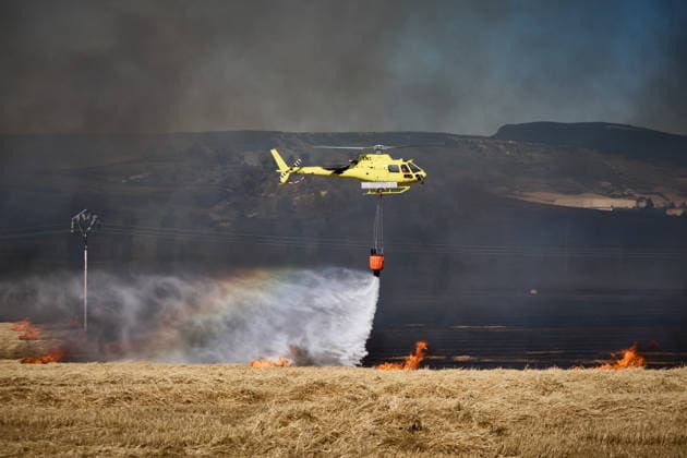 A large wildfire has been reported in Imárcoain, Navarre. Water-bombing helicopters are working to extinguish the wildfire in Imárcoain on July 5, 2026, in Imárcoain, Elorz Valley, Navarre, Spain. Firefighters are currently working to extinguish a fire in a grain field that has spread to a wooded area in Imárcoain, which belongs to the municipality of Elorz Valley. Emergency services received the alert at 4:49 p.m., and a response team consisting of firefighters, aircraft, environmental forest rangers, Local Police, and Regional Police. As a result, the AP 15 has been closed in both directions as a precaution. JULY 5, 2026 Imarcoain, Elorz Valley, Navarre Imarcoain, Elorz Valley, Navarre, Spain  Copyright: xEduardoxSanzx 7647222