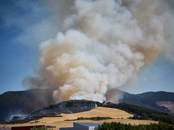 A large wildfire has been reported in Imárcoain, Navarre. View of the wildfire in Imárcoain on July 5, 2026, in Imárcoain, Elorz Valley, Navarre, Spain. Firefighters are currently working to extinguish a fire in a grain field that has spread to a wooded area in Imárcoain, which belongs to the Elorz Valley municipality. Emergency services received the alert at 4:49 p.m., and a response team consisting of firefighters, aircraft, environmental forest rangers, Local Police, and Regional Police. As a result, the AP 15 has been closed in both directions as a precaution. JULY 5, 2026 Imarcoain, Elorz Valley, Navarre Imarcoain, Elorz Valley, Navarre, Spain  Copyright: xEduardoxSanzx 7647260