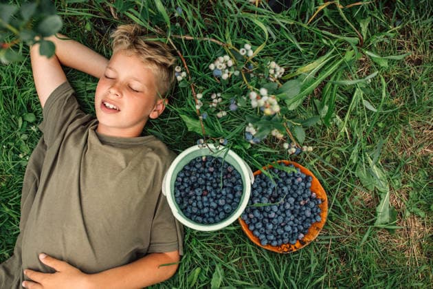 A boy rests on green grass beside a fresh summer blueberry harvest model released, Symbolfoto, NASF00259
