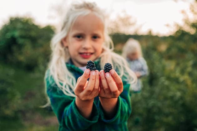 Smiling girl holds fresh blackberry outdoors model released, Symbolfoto, NASF00283