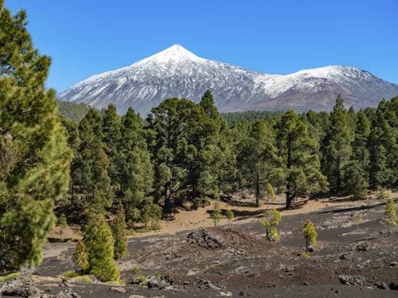 Blick auf den schneebedeckten Gipfel des Teide im März, Teneriffa, Kanarische Inseln, Spanien View of the snow-capped peak of Mount Teide in March, Tenerife, Canary Islands, Spain Copyright: imageBROKER MichaelxKrabs ibxiqx18120637.jpg